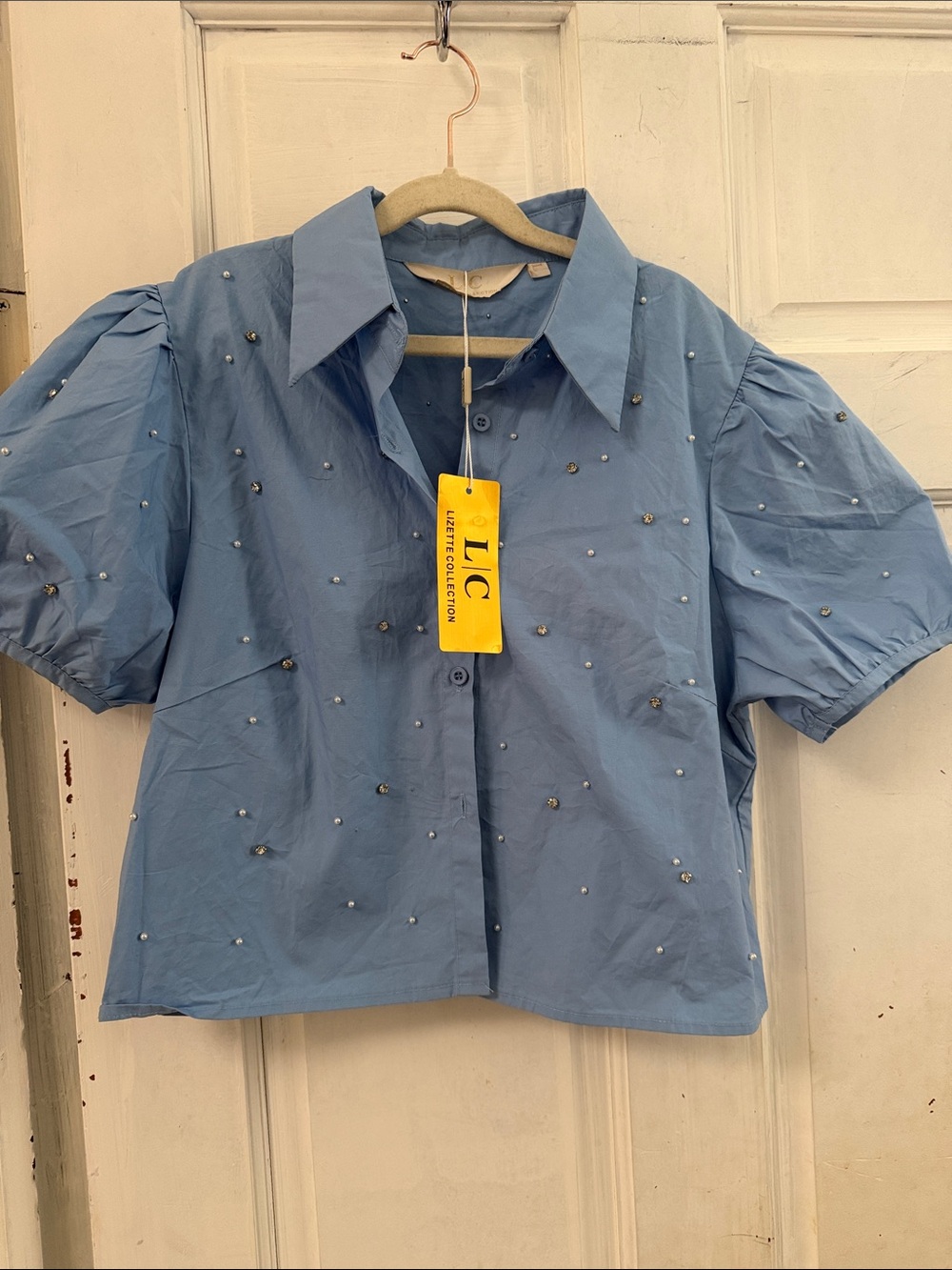 NWT LIZETTE COLLECTION Powder Blue Embellished Button Shirt- size L/ see photos*